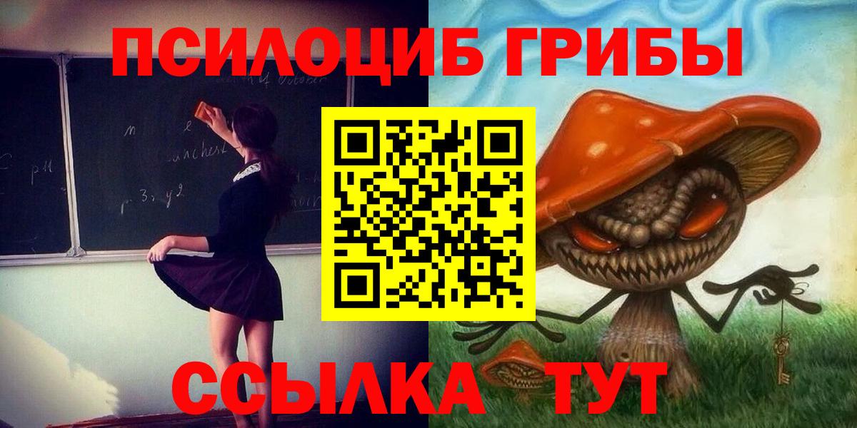 Павловский Посад  Галлюциногенные грибы Psilocybe  Вход с VPN 