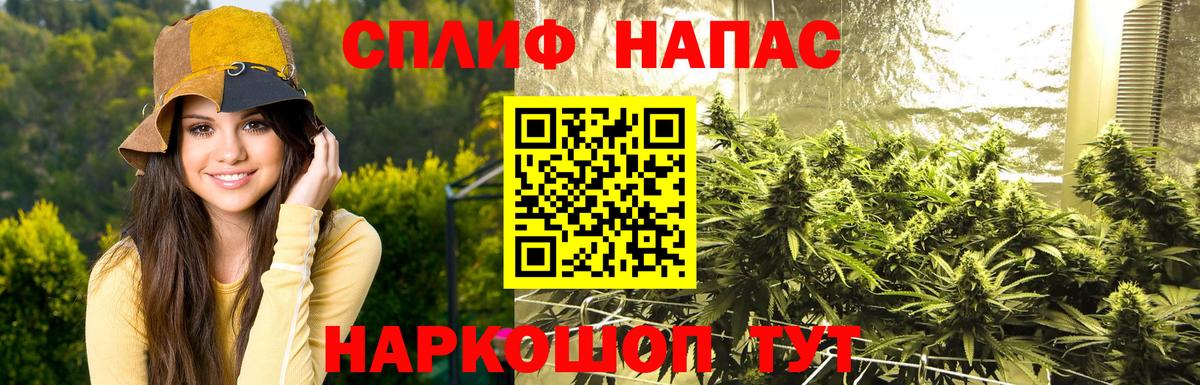 Павловский Посад  Бошки марихуана Bruce Banner  Вход с VPN  Каннабис White Widow 